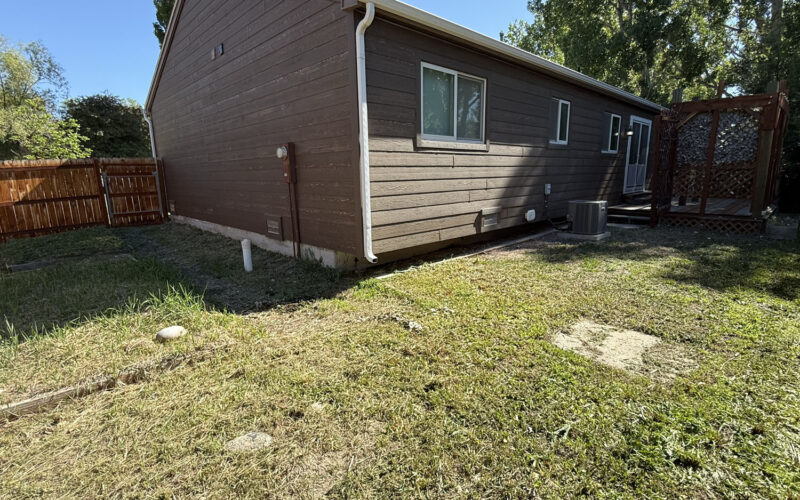 1005 hillside backyard 2