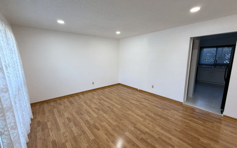 1005 hillside living room 3