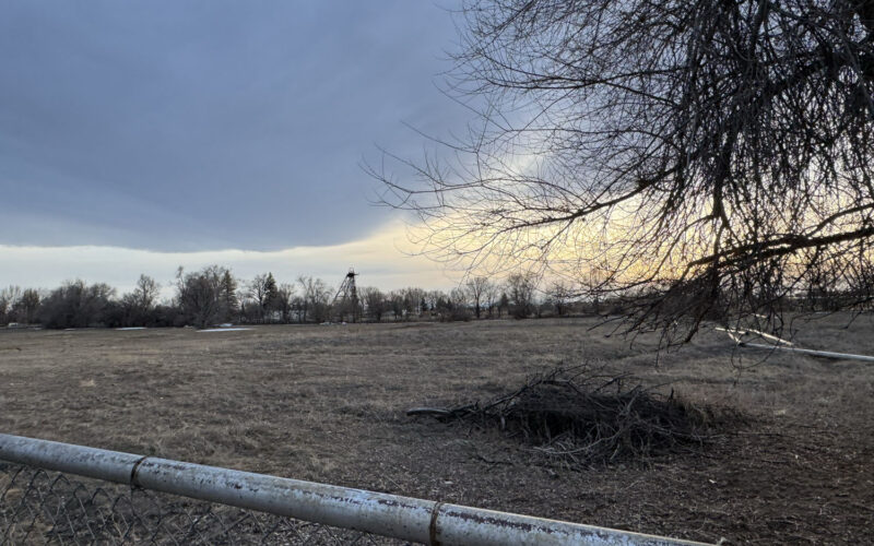 1020 sherry Open Pasture in Backyard