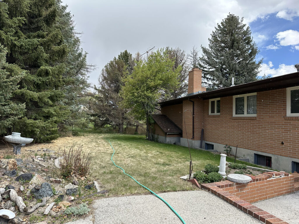 1796 n 8th w backyard green