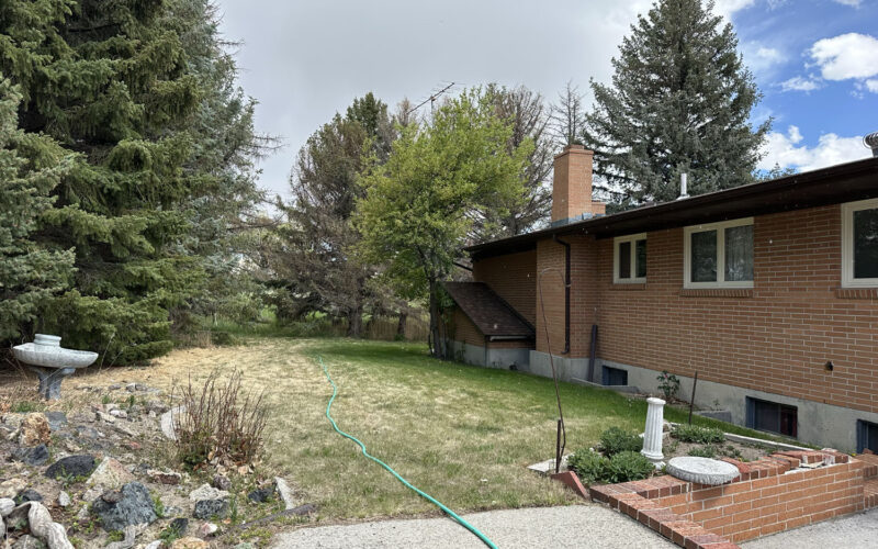 1796 n 8th w backyard green