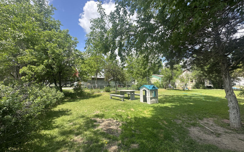 214 e jefferson backyard green 1