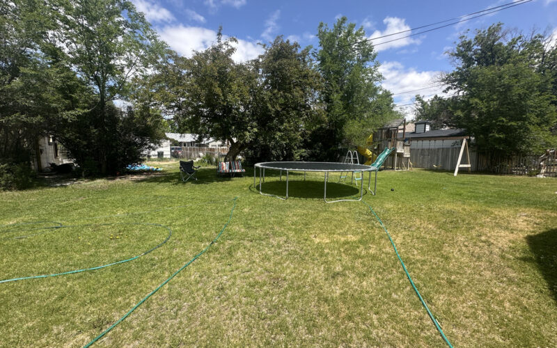 214 e jefferson backyard green 2
