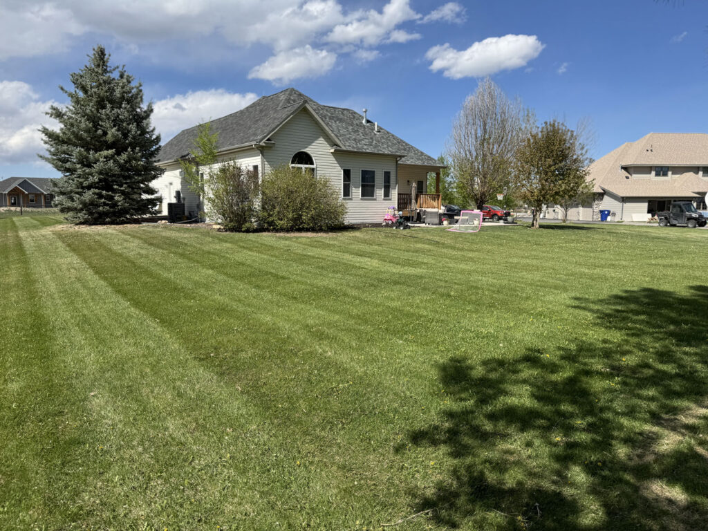 3749 village backyard