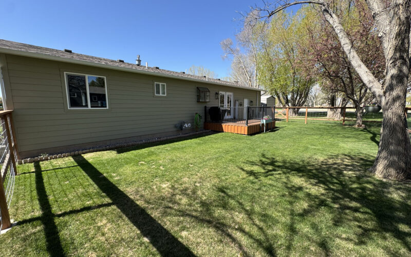 415 Country Club Back yard 2