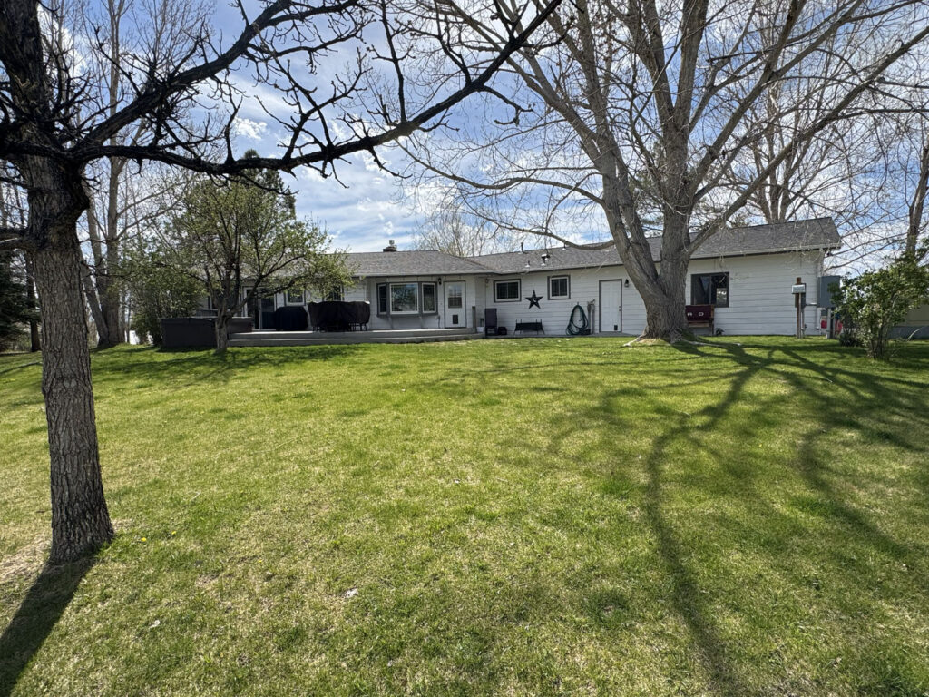 460 ramshorn Back yard