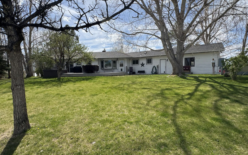 460 ramshorn Back yard