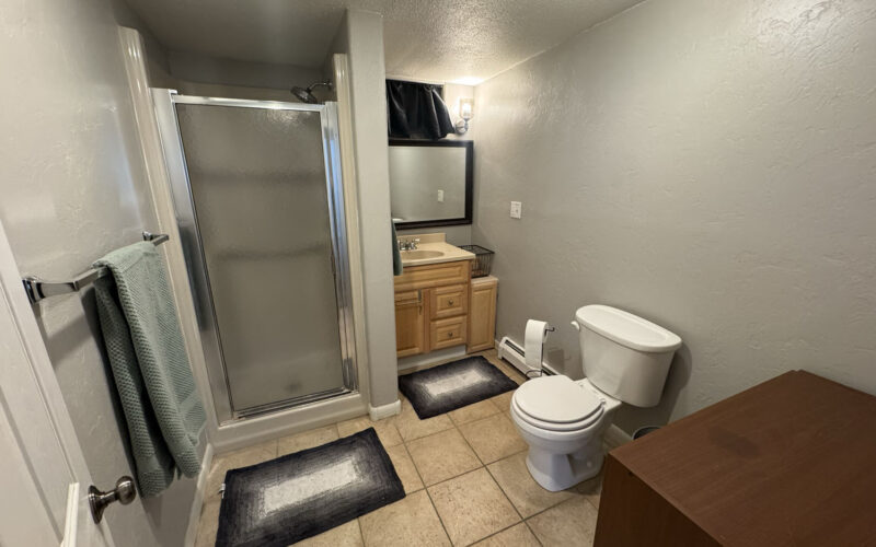 460 ramshorn Downstairs Bathroom