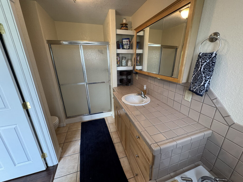 460 ramshorn Primary Bath 2
