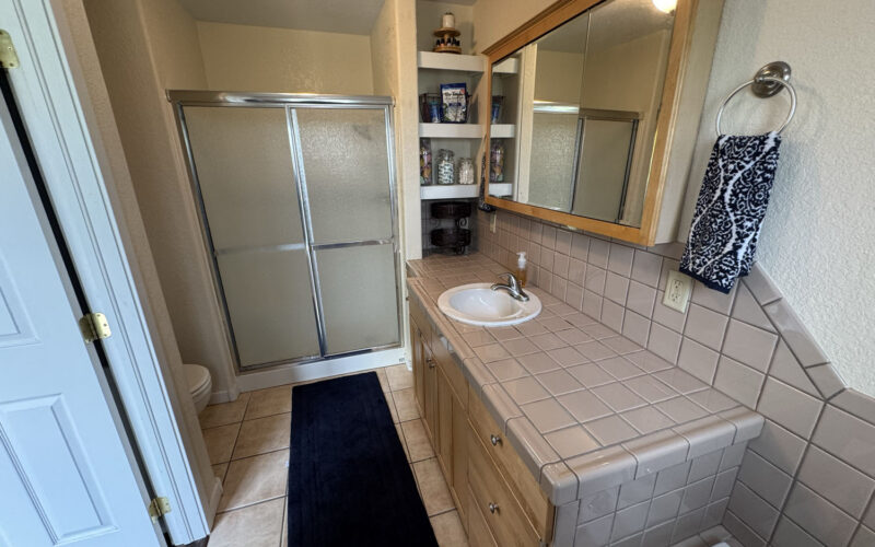 460 ramshorn Primary Bath 2
