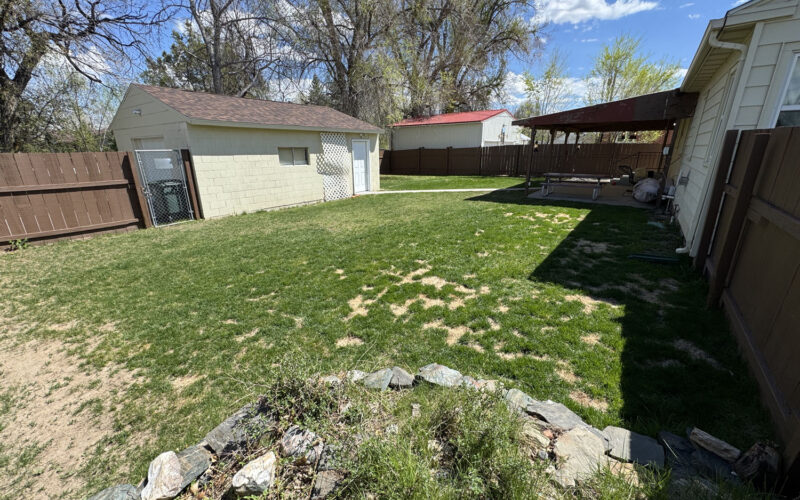 521 n 6th e backyard