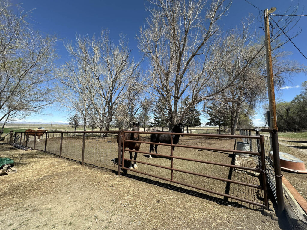 533 two valley corral 2