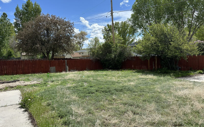 830 n 12th e back green