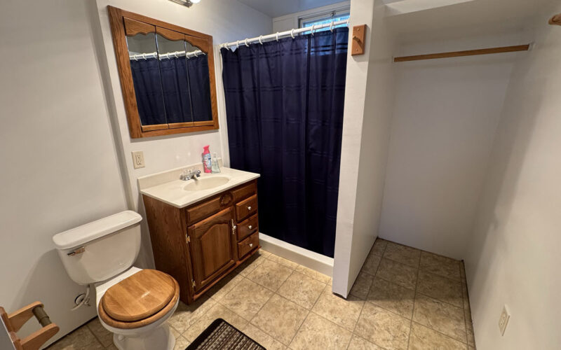 909 big horn Basement Bath 1