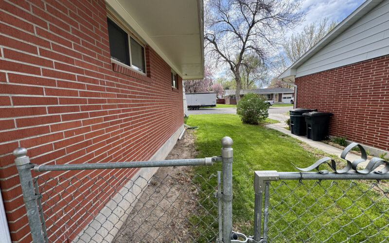 909 big horn Evening Side yard