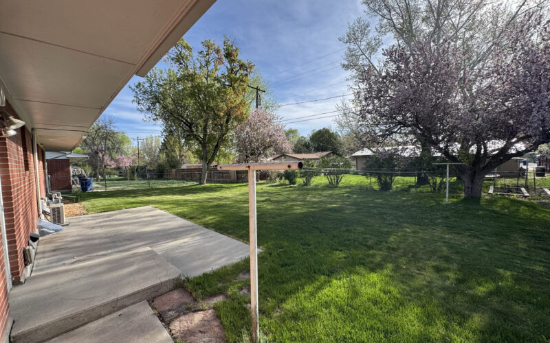 909 big horn Morning Back yard(1)