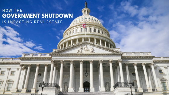 How the government shutdown