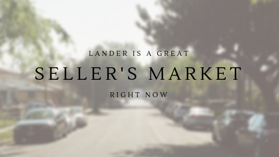 lander seller's market vlog